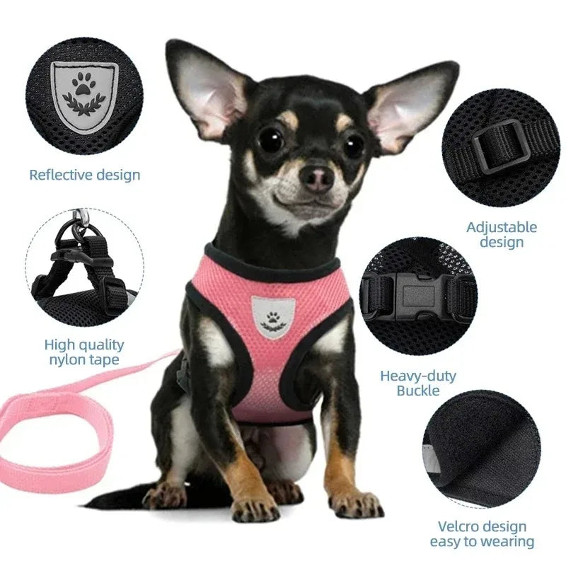 Pawdventure