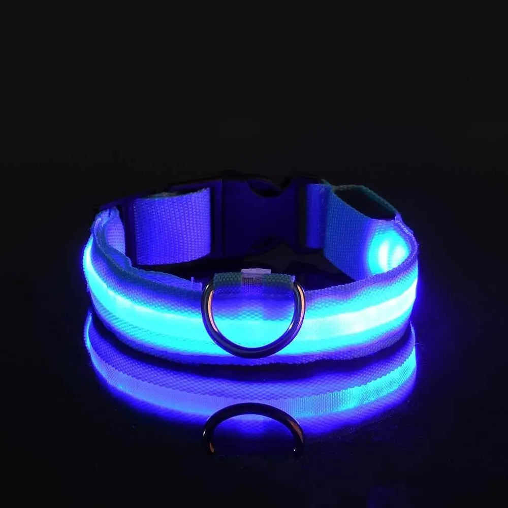 GlowDog
