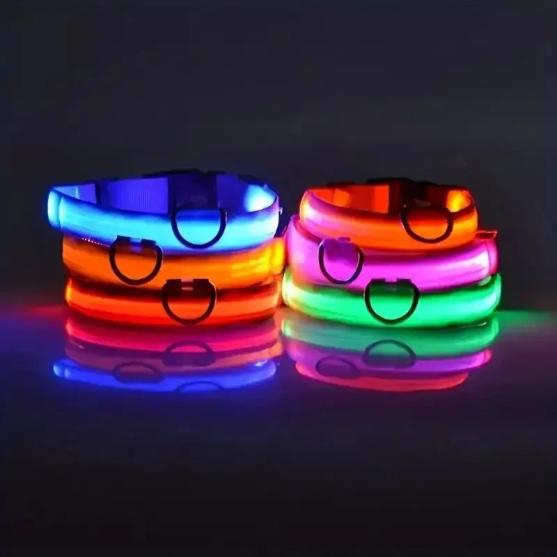 GlowDog