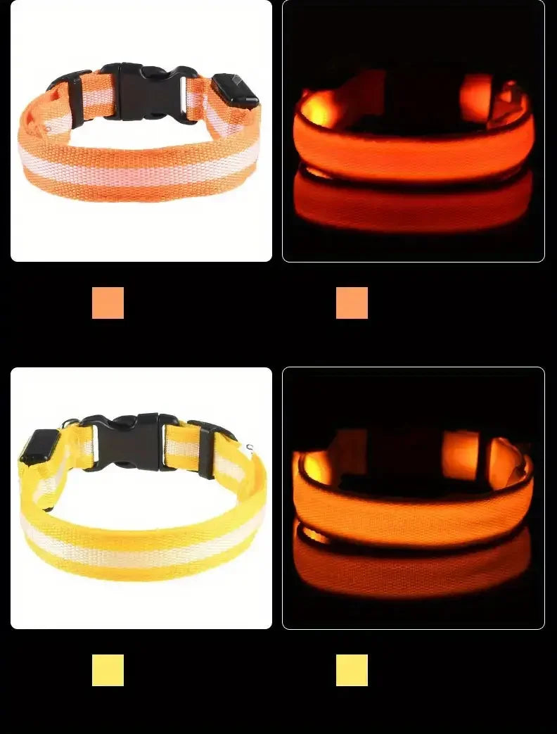 GlowDog