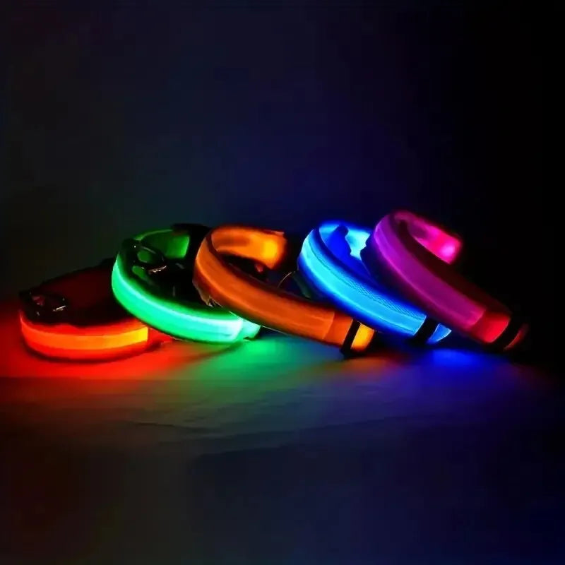 GlowDog