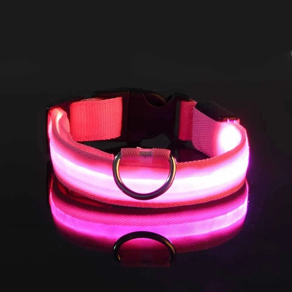 GlowDog