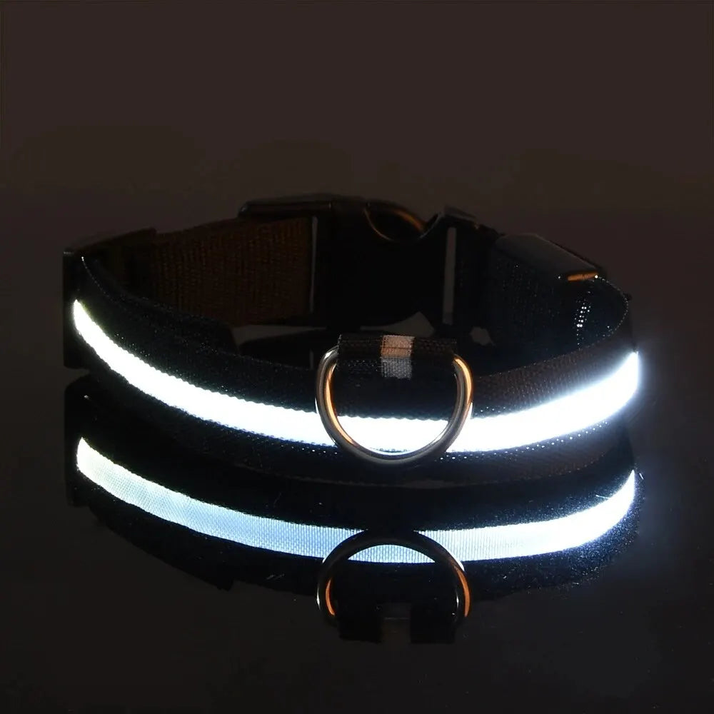 GlowDog