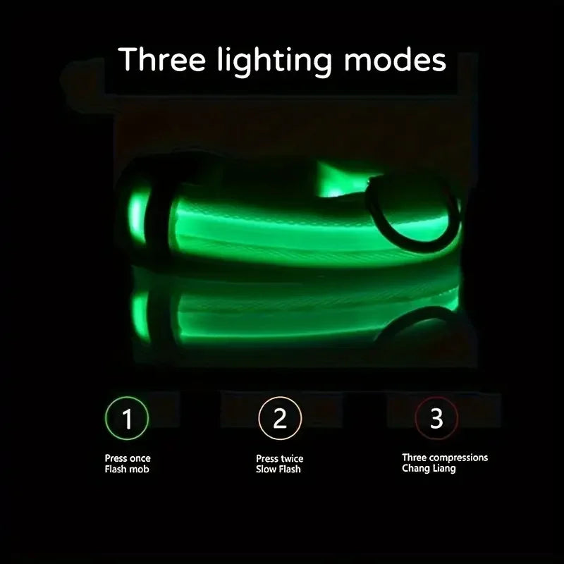 GlowDog