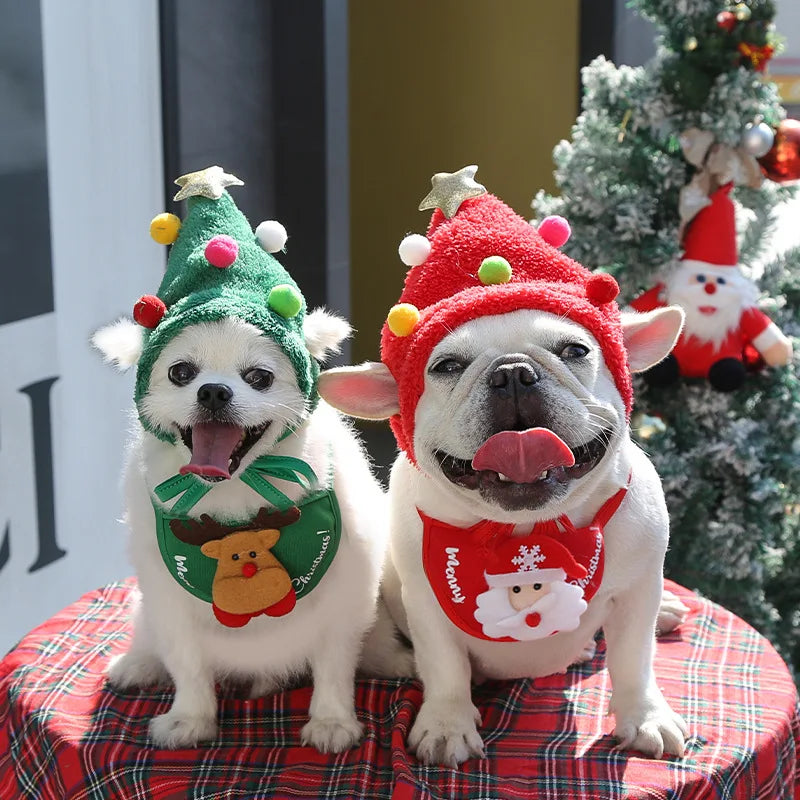 JinglePaws