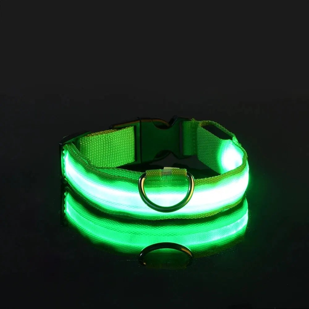 GlowDog