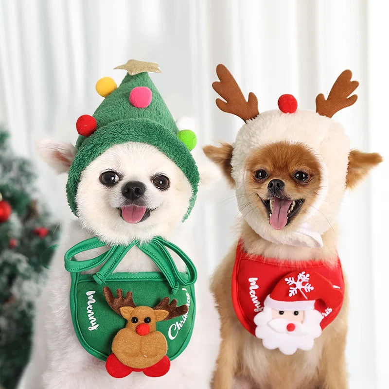 JinglePaws
