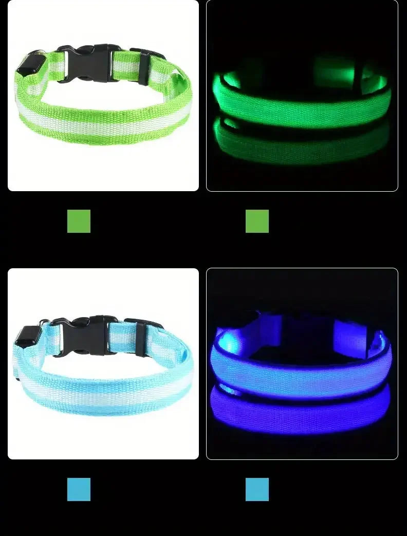 GlowDog