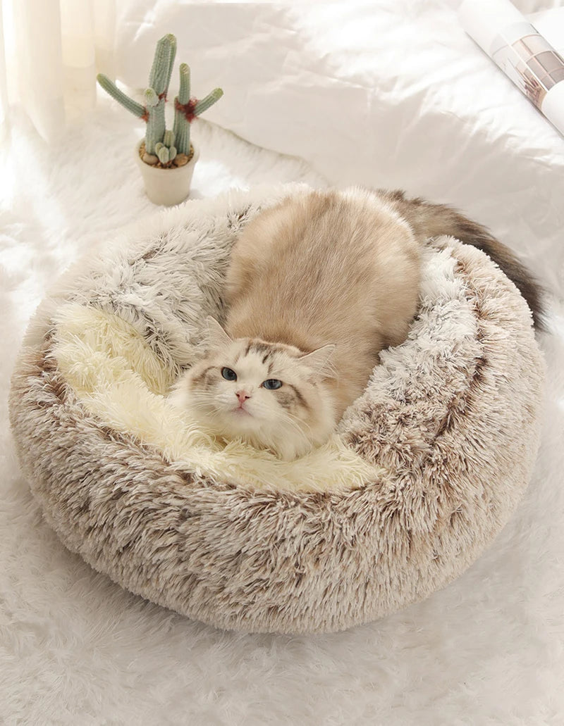 Snoozie