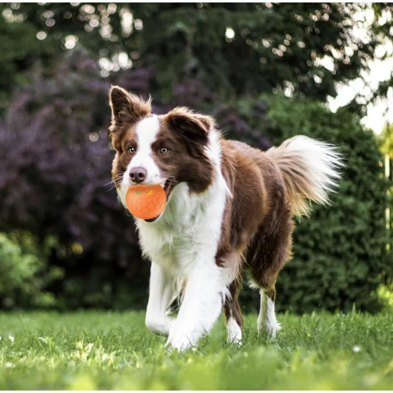 BlinkyBall