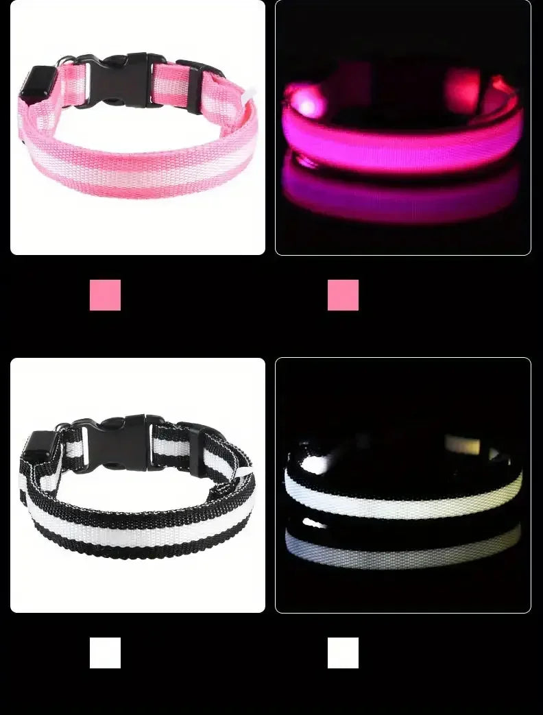 GlowDog
