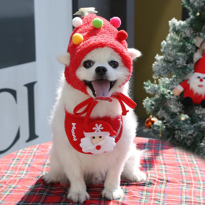JinglePaws