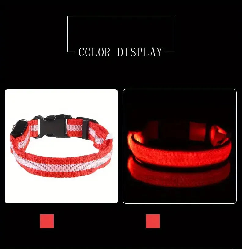 GlowDog