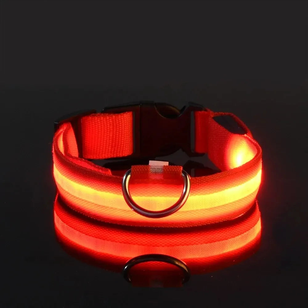 GlowDog