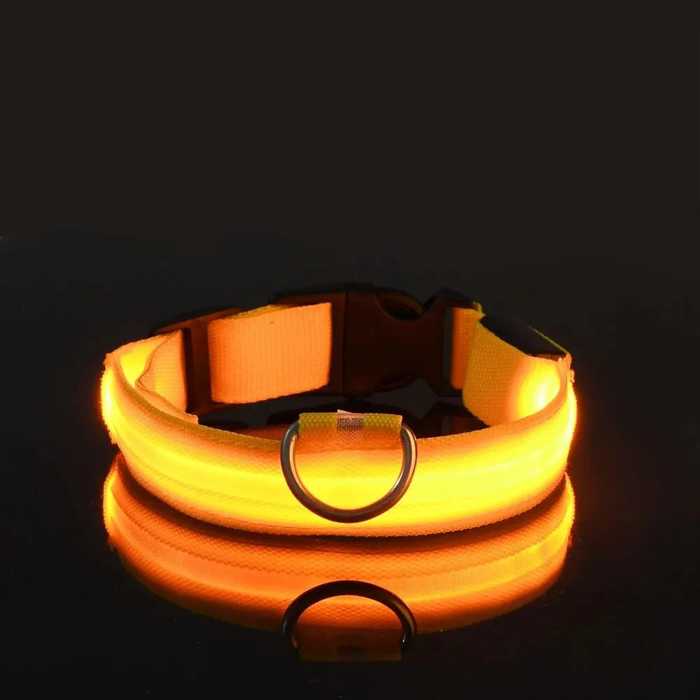 GlowDog