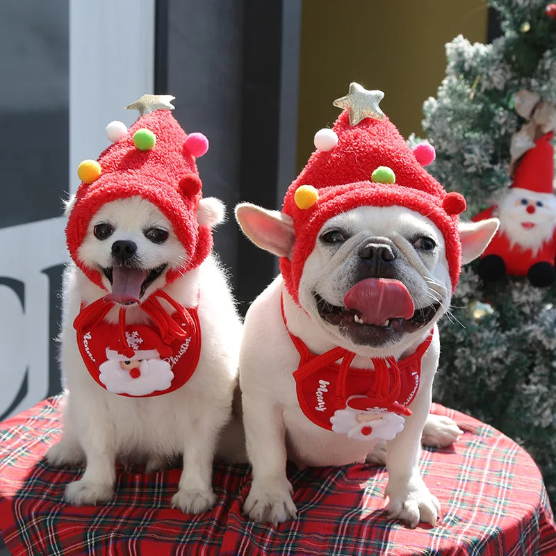 JinglePaws