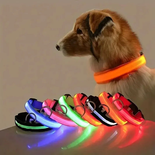 GlowDog