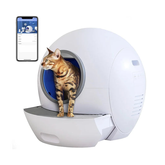 The Cat's Domain