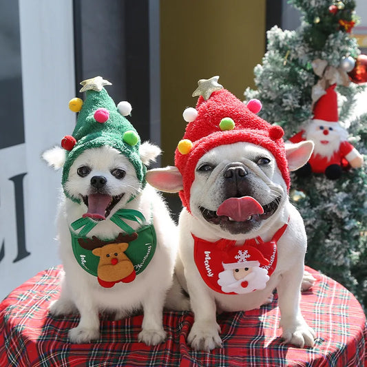 JinglePaws