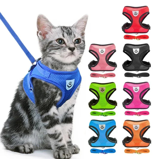 Pawdventure